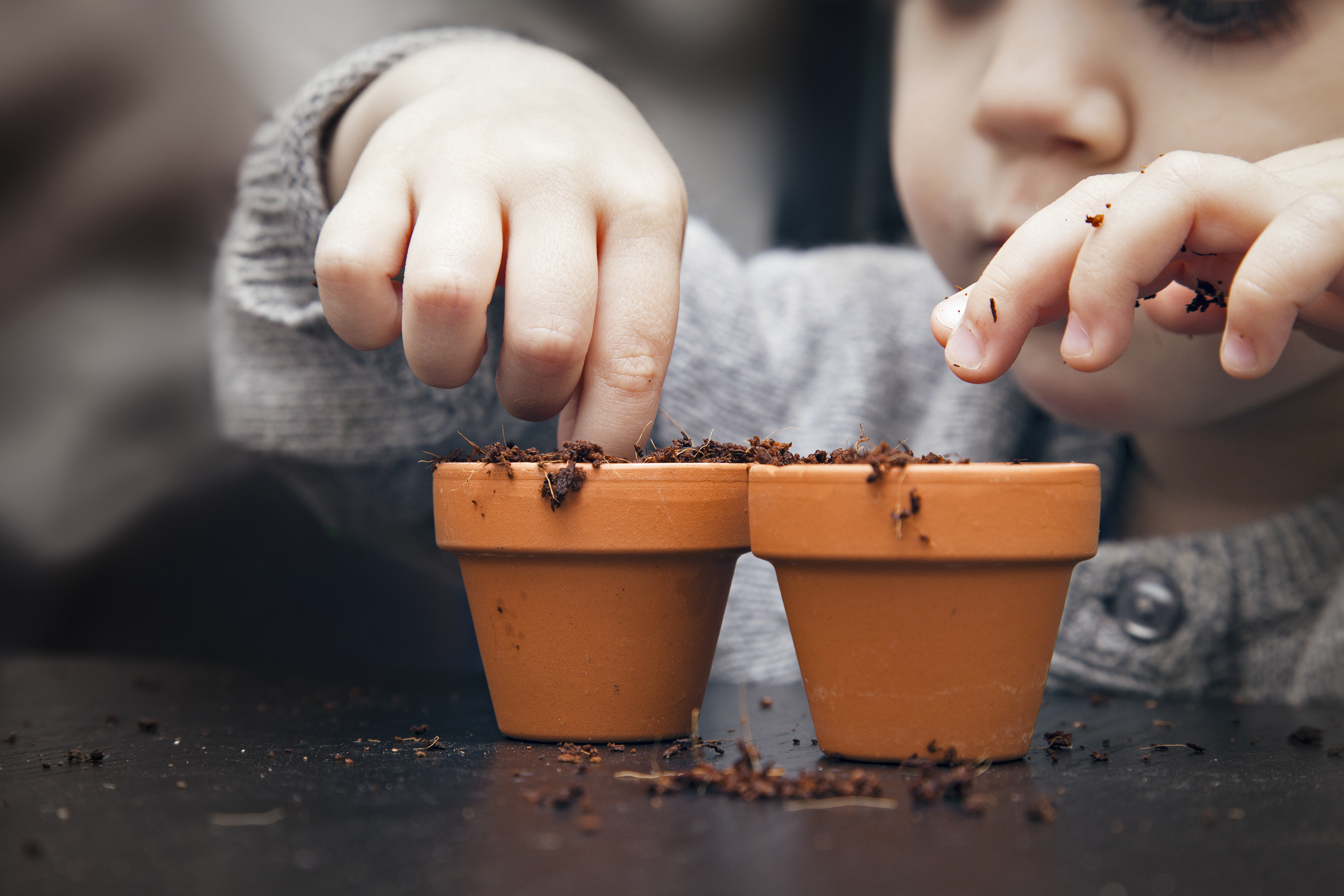 изображение24